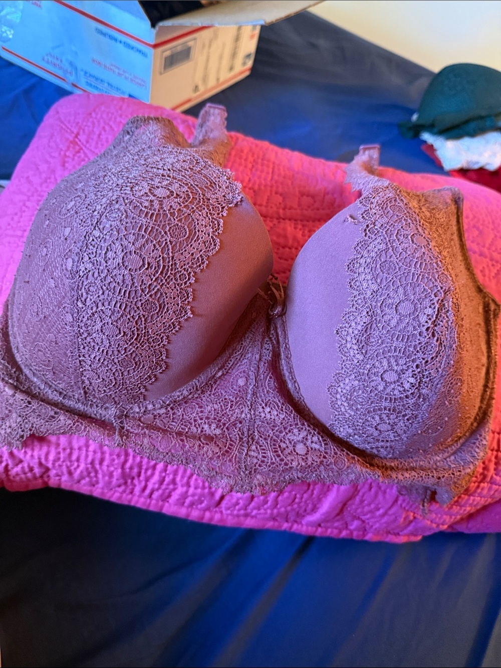 XOXO Dusty Mauve Lace Push-Up Bra 38dd